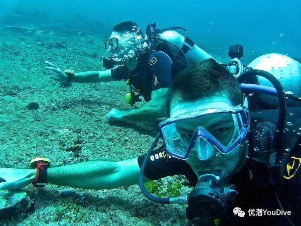 四喜丸子做法步骤是什么？游戏画面