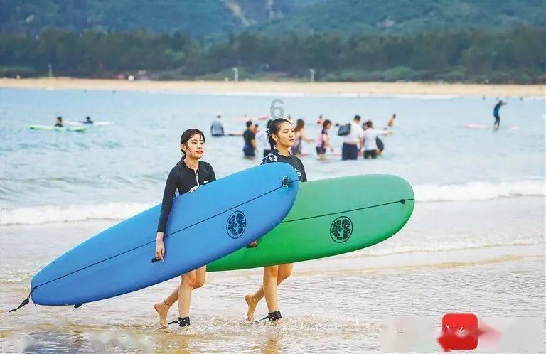 2024年海南雨林大叶茶品牌推介及产销对接招商洽谈活动在京举行