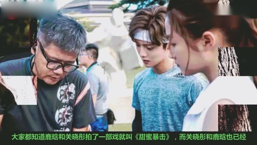 优雅的精灵