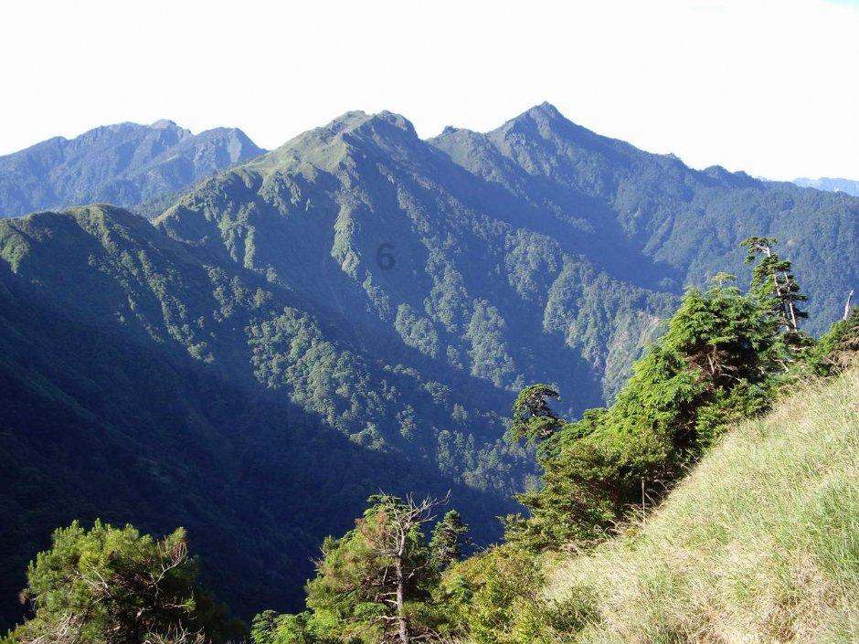 AM：镁金属负极均匀沉积行为