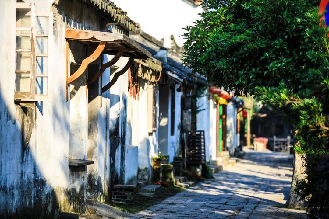 海盗的荣誉