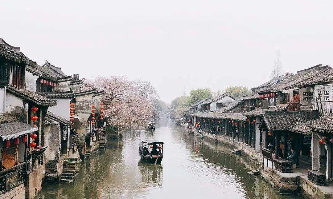射击红色鸟