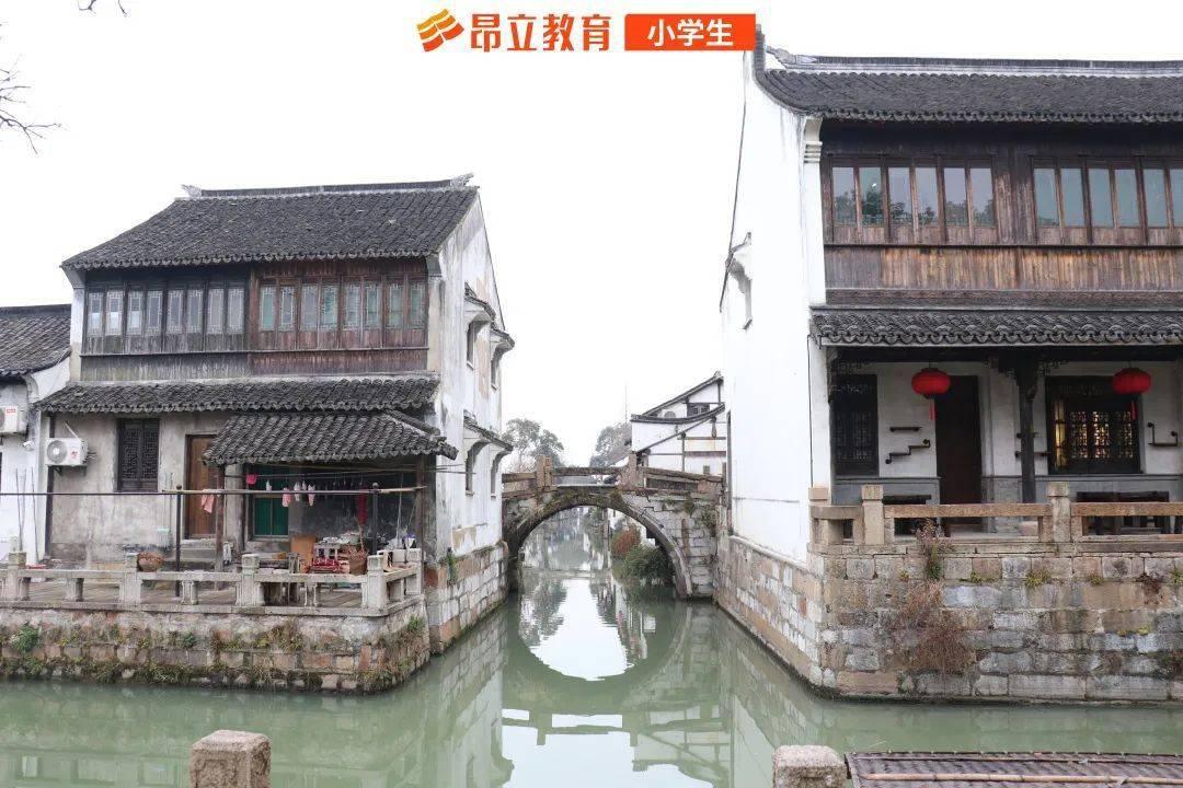 过年必备这9种坚果!抗氧化、保护血管……多种好处你意想不到!